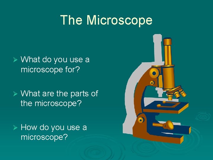 The Microscope Ø What do you use a microscope for? Ø What are the The Microscope Ø What do you use a microscope for? Ø What are the