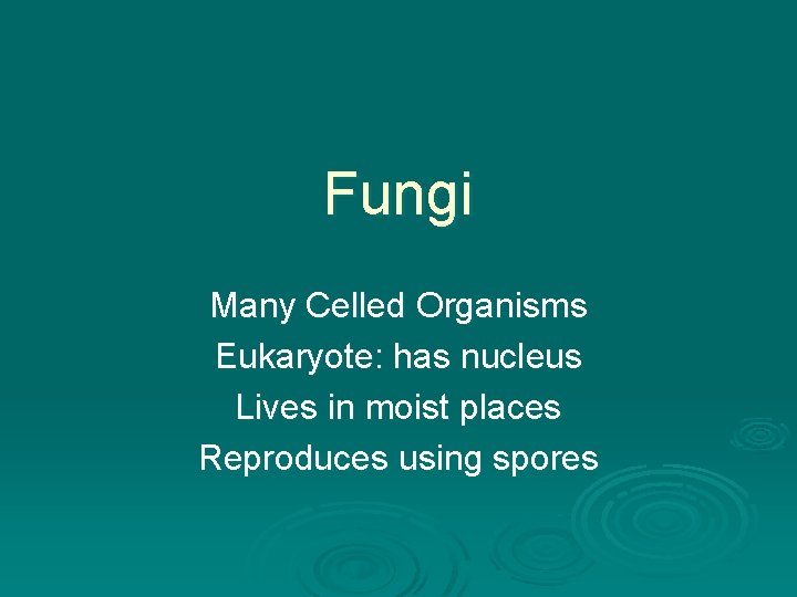Fungi Many Celled Organisms Eukaryote: has nucleus Lives in moist places Reproduces using spores Fungi Many Celled Organisms Eukaryote: has nucleus Lives in moist places Reproduces using spores