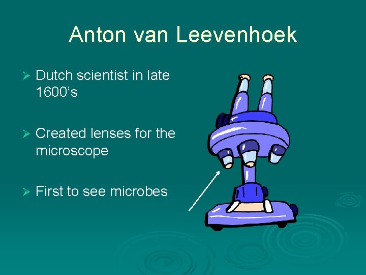 Anton van Leevenhoek Ø Dutch scientist in late 1600’s Ø Created lenses for the Anton van Leevenhoek Ø Dutch scientist in late 1600’s Ø Created lenses for the