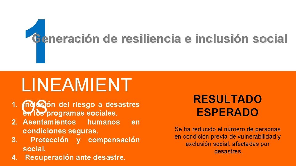 1 Generación de resiliencia e inclusión social LINEAMIENT 1. OS Inclusión del riesgo a
