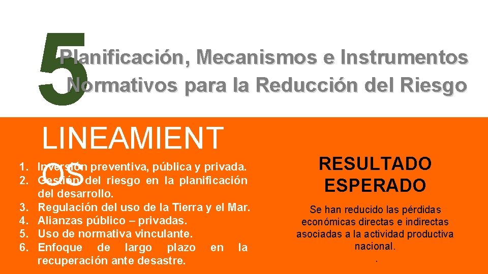 5 Planificación, Mecanismos e Instrumentos Normativos para la Reducción del Riesgo LINEAMIENT OS 1.