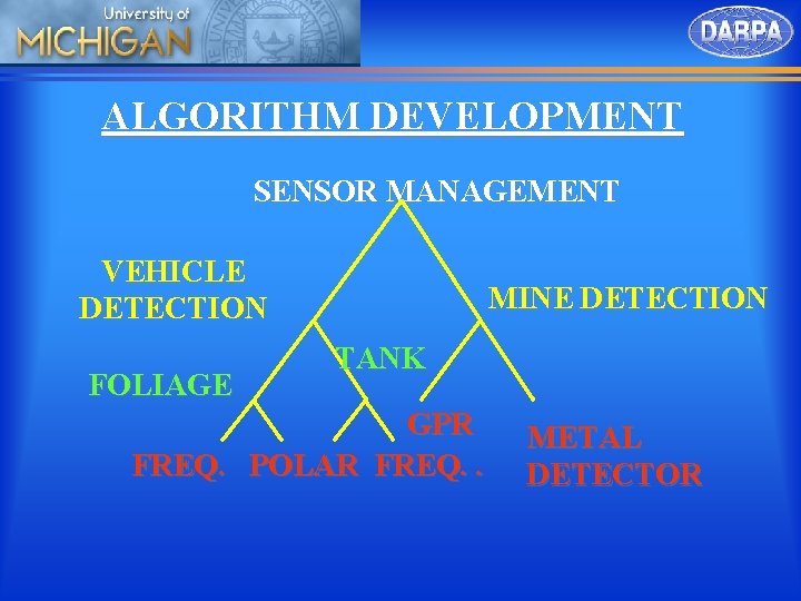 ALGORITHM DEVELOPMENT SENSOR MANAGEMENT VEHICLE DETECTION FOLIAGE MINE DETECTION TANK GPR FREQ. POLAR FREQ.