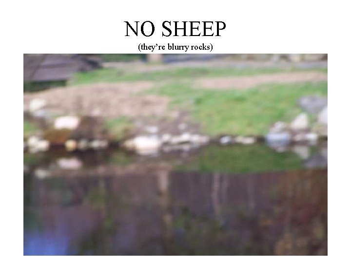 NO SHEEP (they’re blurry rocks) 