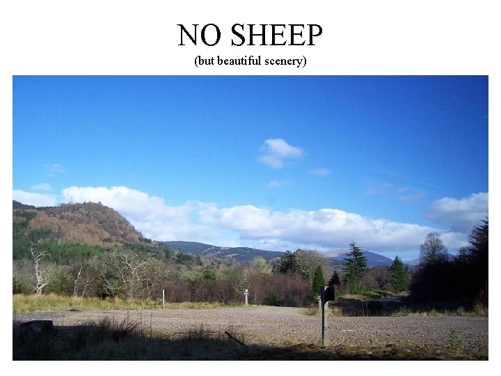 NO SHEEP (but beautiful scenery) 
