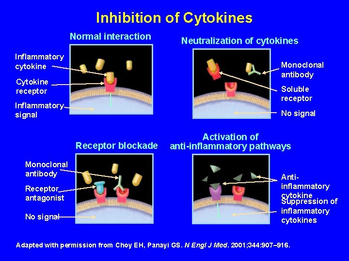 Inhibition of Cytokines Normal interaction Inflammatory cytokine Monoclonal antibody Cytokine receptor Soluble receptor Inflammatory