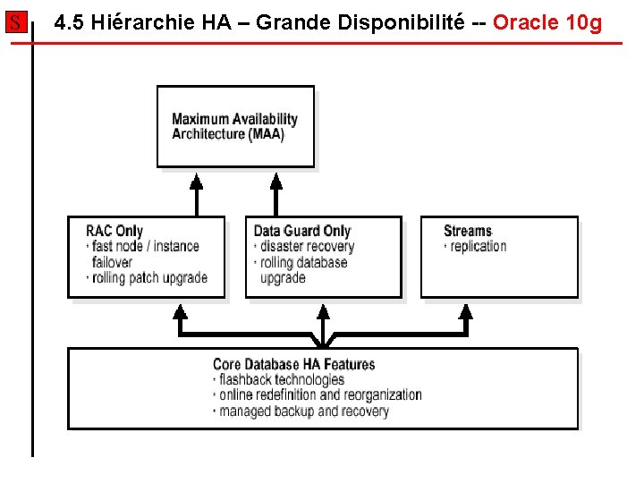 S 4. 5 Hiérarchie HA – Grande Disponibilité -- Oracle 10 g S 4. 5 Hiérarchie HA – Grande Disponibilité -- Oracle 10 g
