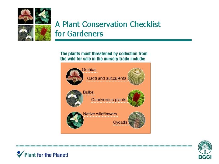 A Plant Conservation Checklist for Gardeners 