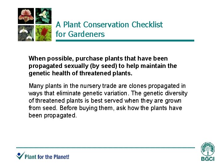 A Plant Conservation Checklist for Gardeners When possible, purchase plants that have been propagated