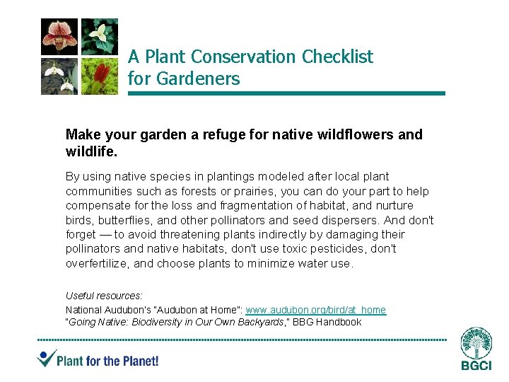A Plant Conservation Checklist for Gardeners Make your garden a refuge for native wildflowers