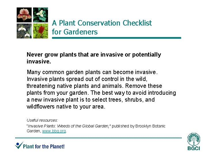 A Plant Conservation Checklist for Gardeners Never grow plants that are invasive or potentially