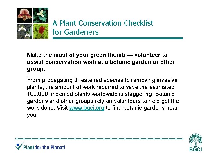 A Plant Conservation Checklist for Gardeners Make the most of your green thumb —