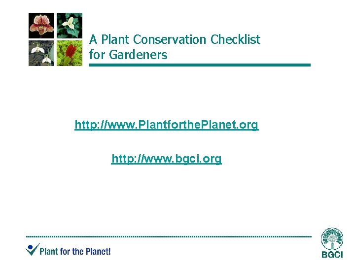 A Plant Conservation Checklist for Gardeners http: //www. Plantforthe. Planet. org http: //www. bgci.