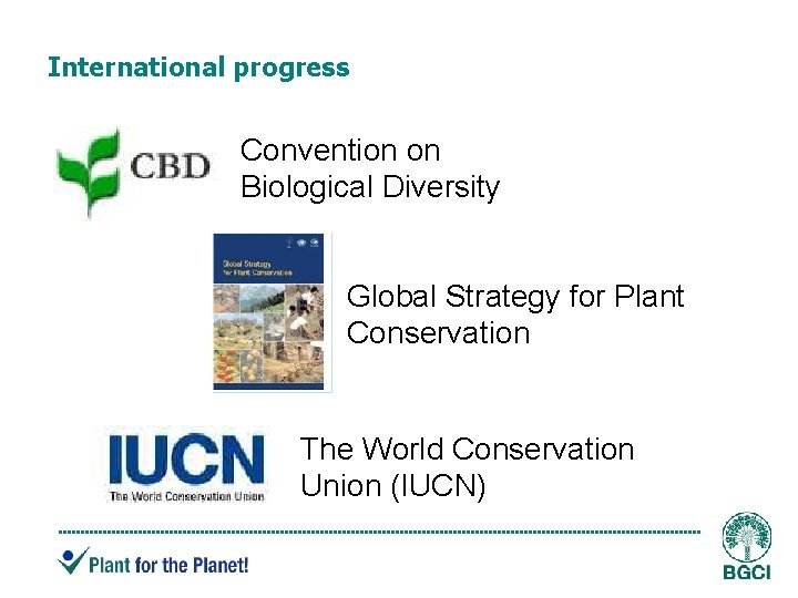 International progress Convention on Biological Diversity Global Strategy for Plant Conservation The World Conservation