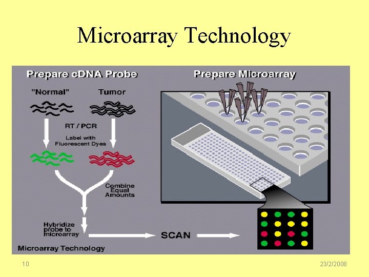 Microarray Technology 10 23/2/2008 