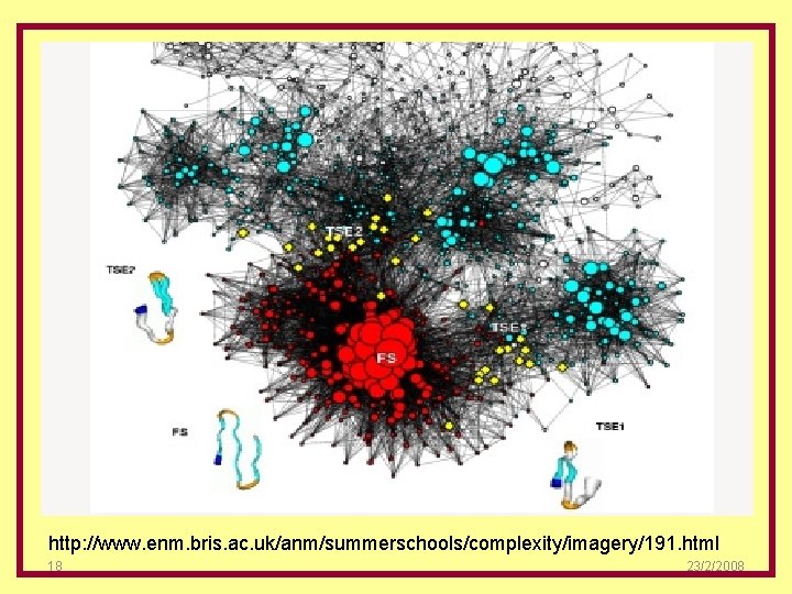 http: //www. enm. bris. ac. uk/anm/summerschools/complexity/imagery/191. html 18 23/2/2008 