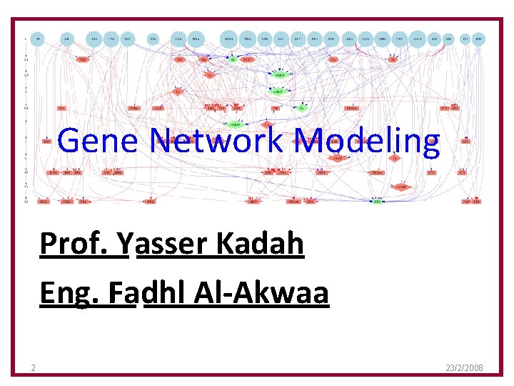 Gene Network Modeling Prof. Yasser Kadah Eng. Fadhl Al-Akwaa 2 23/2/2008 