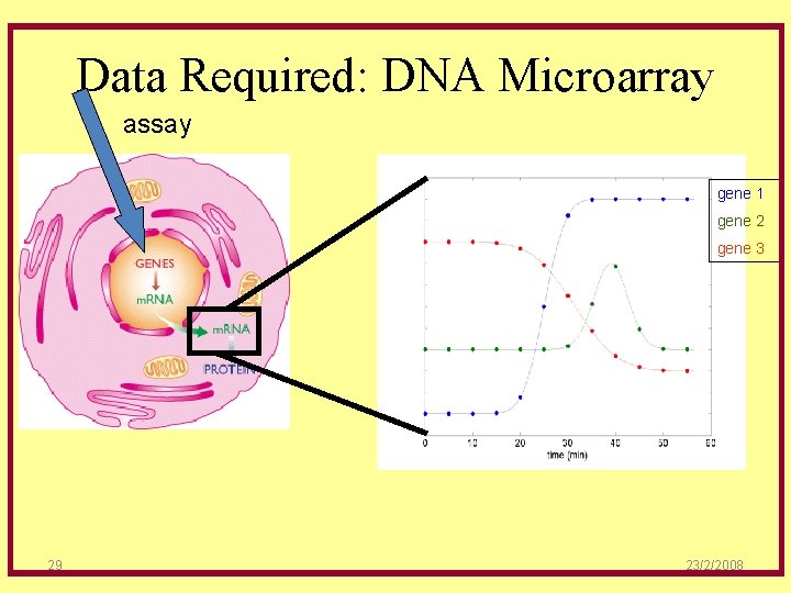 Data Required: DNA Microarray assay gene 1 gene 2 gene 3 29 23/2/2008 