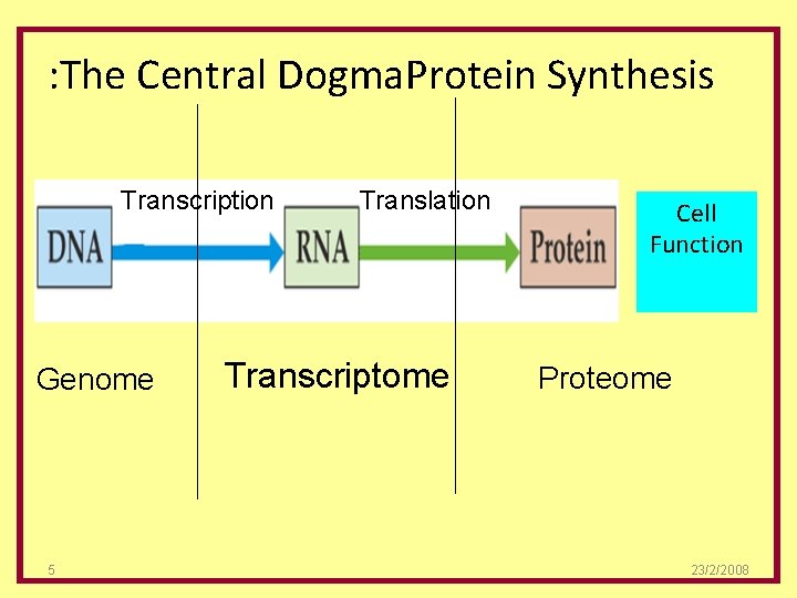 : The Central Dogma. Protein Synthesis Transcription Genome 5 Translation Transcriptome Cell Function Proteome