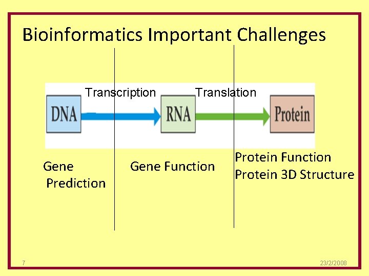 Bioinformatics Important Challenges Transcription Gene Prediction 7 Translation Gene Function Protein 3 D Structure