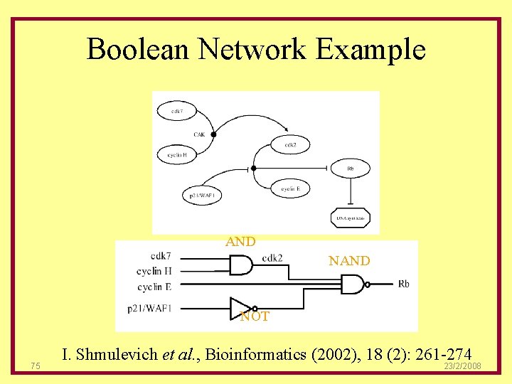 Boolean Network Example AND NOT 75 I. Shmulevich et al. , Bioinformatics (2002), 18