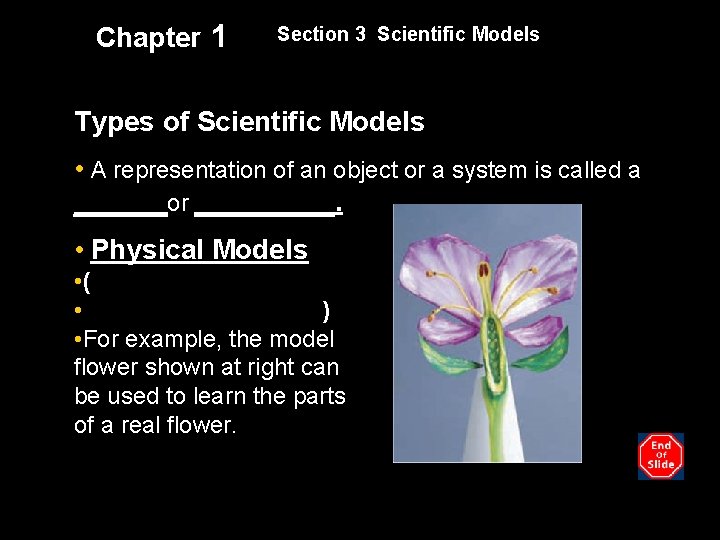 Chapter 1 Section 3 Scientific Models Types of Scientific Models • A representation of