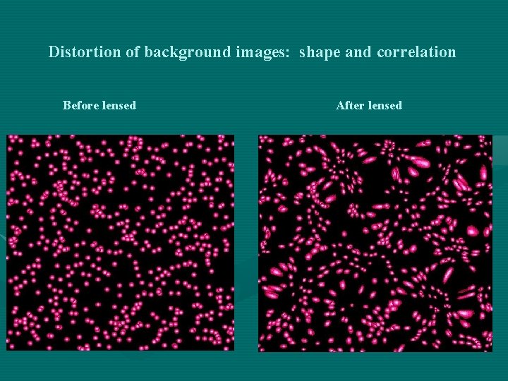 Distortion of background images: shape and correlation Before lensed After lensed 