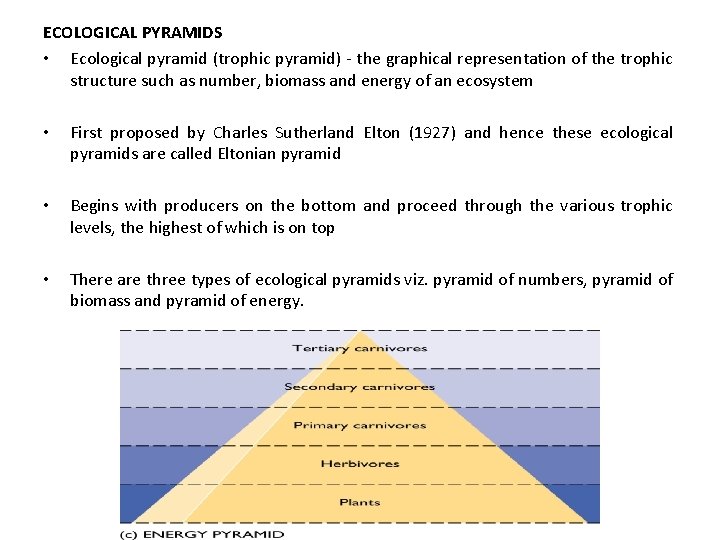 ECOLOGICAL PYRAMIDS • Ecological pyramid (trophic pyramid) - the graphical representation of the trophic