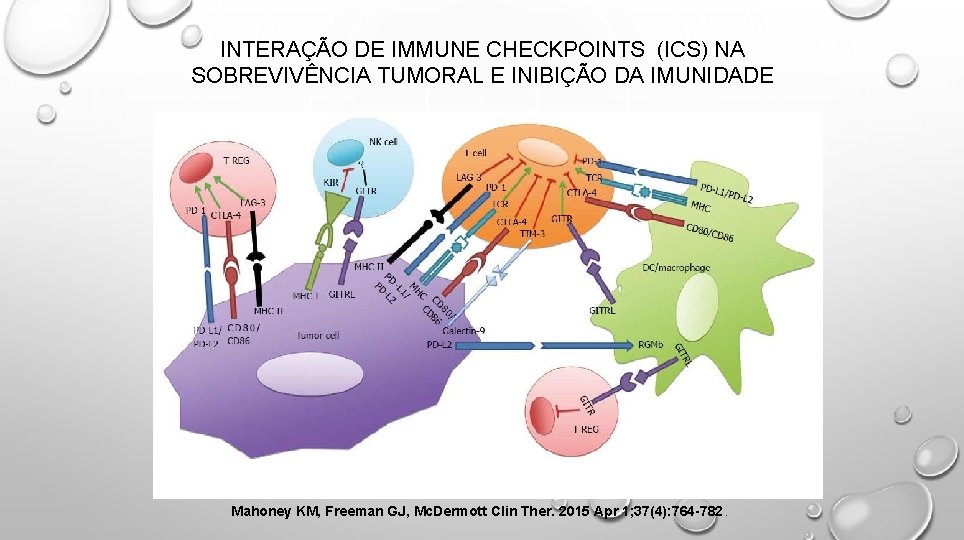 INTERAÇÃO DE IMMUNE CHECKPOINTS (ICS) NA SOBREVIVÊNCIA TUMORAL E INIBIÇÃO DA IMUNIDADE Mahoney KM,