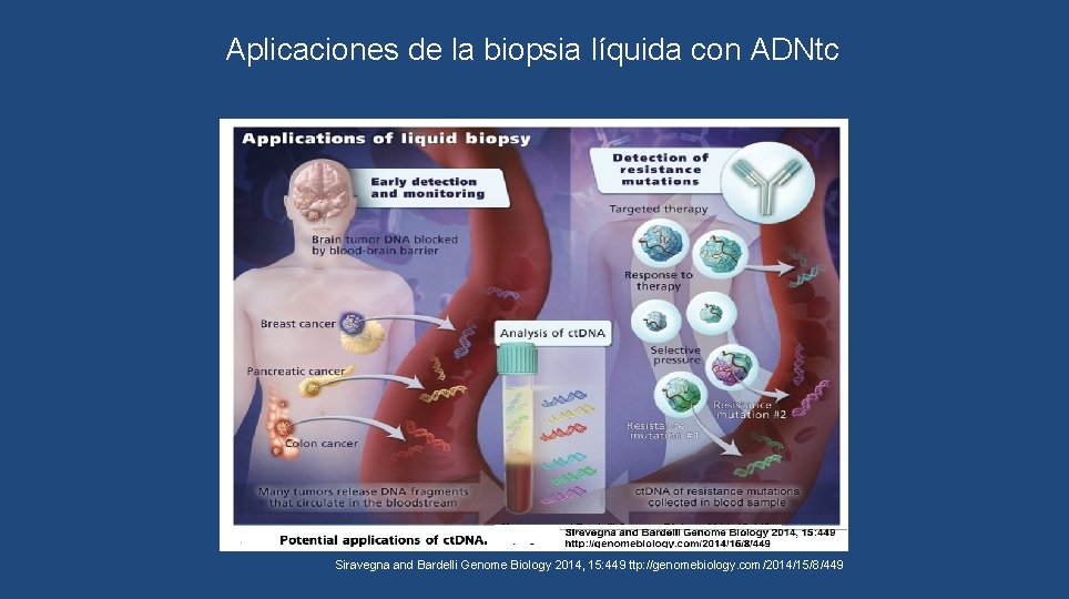 Aplicaciones de la biopsia líquida con ADNtc Siravegna and Bardelli Genome Biology 2014, 15: