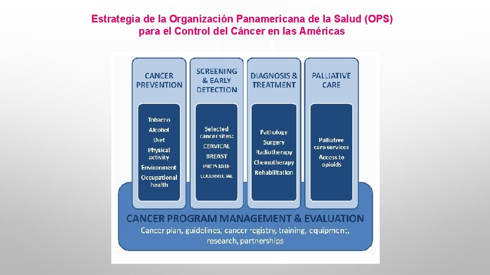 Estrategia de la Organización Panamericana de la Salud (OPS) para el Control del Cáncer