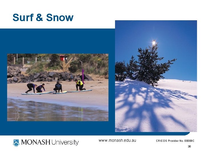 Surf & Snow www. monash. edu. au CRICOS Provider No. 00008 C 36 