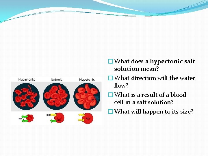 �What does a hypertonic salt solution mean? �What direction will the water flow? �What