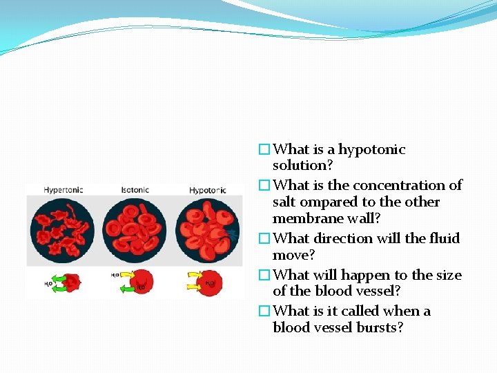 �What is a hypotonic solution? �What is the concentration of salt ompared to the