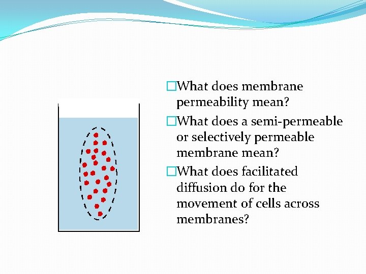 �What does membrane permeability mean? �What does a semi-permeable or selectively permeable membrane mean?