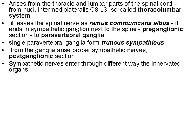  • Arises from the thoracic and lumbar parts of the spinal cord –