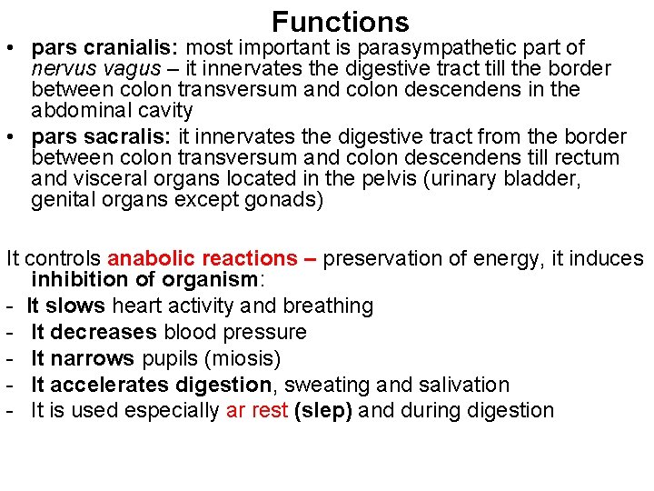 Functions • pars cranialis: most important is parasympathetic part of nervus vagus – it