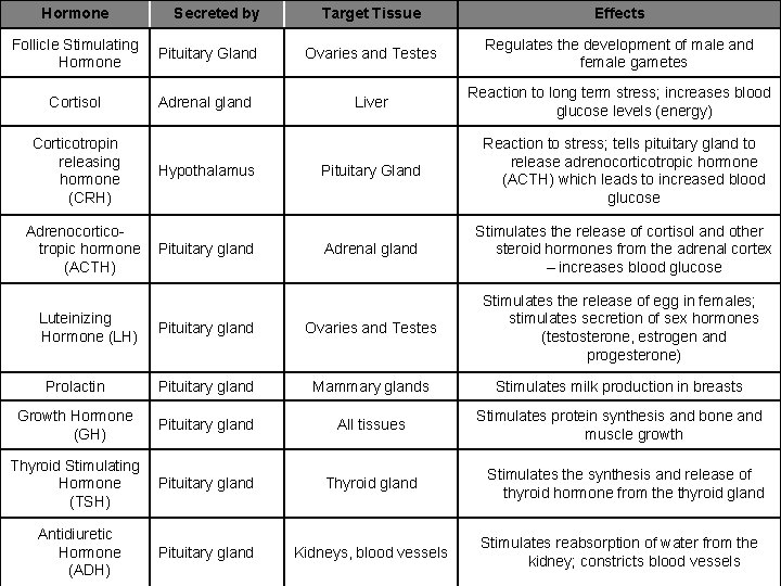 Hormone Secreted by Target Tissue Effects Follicle Stimulating Hormone Pituitary Gland Ovaries and Testes