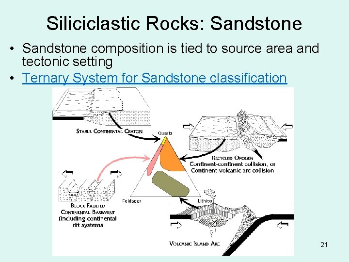 Siliciclastic Rocks: Sandstone • Sandstone composition is tied to source area and tectonic setting