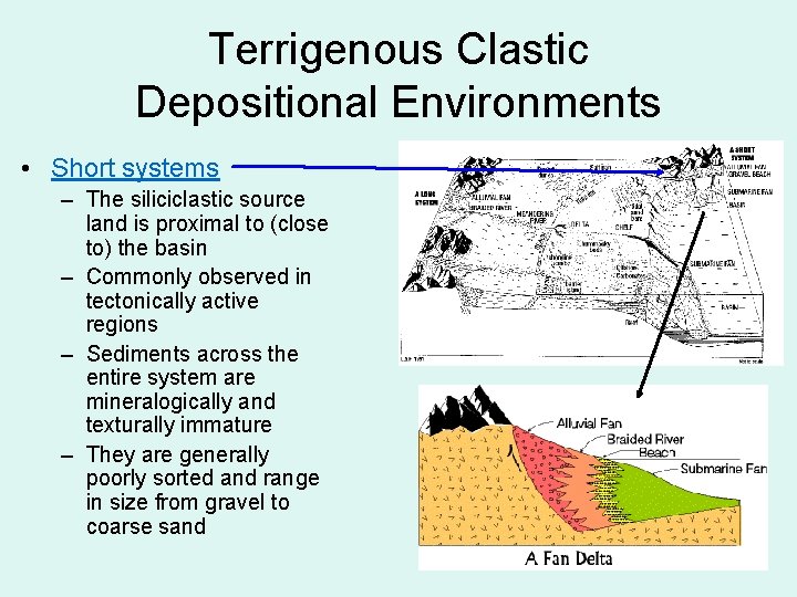 Terrigenous Clastic Depositional Environments • Short systems – The siliciclastic source land is proximal