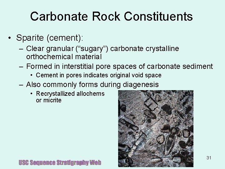 Carbonate Rock Constituents • Sparite (cement): – Clear granular (“sugary”) carbonate crystalline orthochemical material