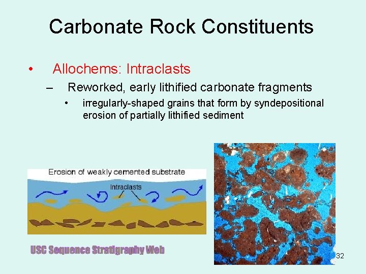 Carbonate Rock Constituents • Allochems: Intraclasts – Reworked, early lithified carbonate fragments • irregularly-shaped