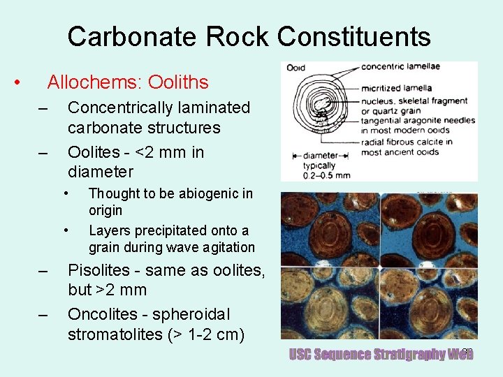 Carbonate Rock Constituents • Allochems: Ooliths – – Concentrically laminated carbonate structures Oolites -