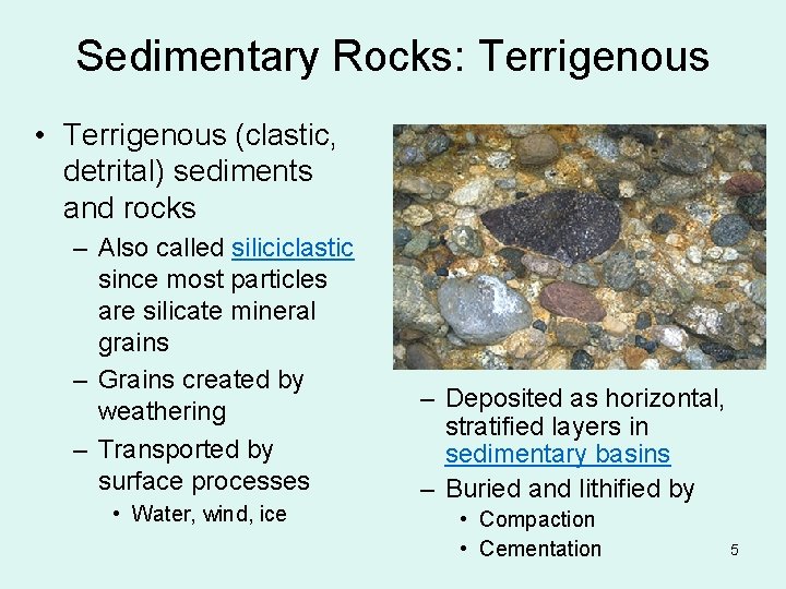 Sedimentary Rocks: Terrigenous • Terrigenous (clastic, detrital) sediments and rocks – Also called siliciclastic