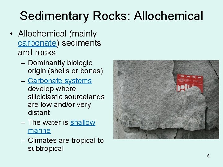 Sedimentary Rocks: Allochemical • Allochemical (mainly carbonate) sediments and rocks – Dominantly biologic origin