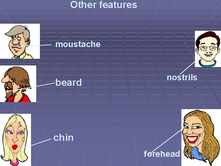 Other features moustache beard nostrils chin forehead 