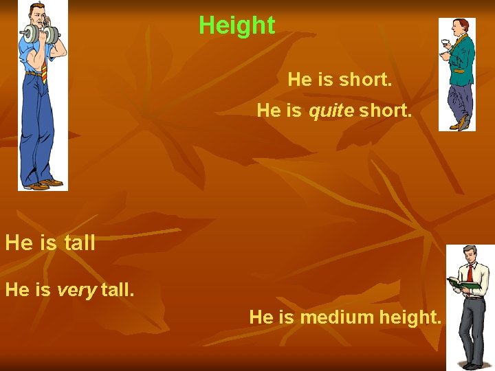 Height He is short. He is quite short. He is tall He is very