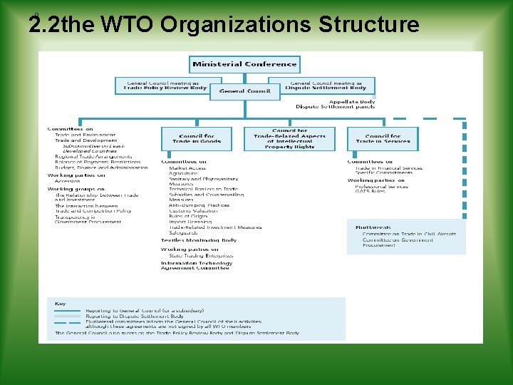 2. 2 the WTO Organizations Structure 8 2. 2 the WTO Organizations Structure 8