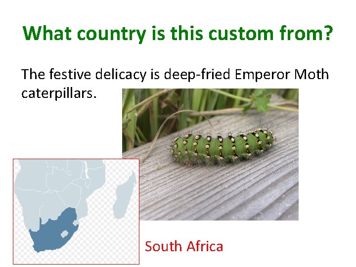 What country is this custom from? The festive delicacy is deep-fried Emperor Moth caterpillars.