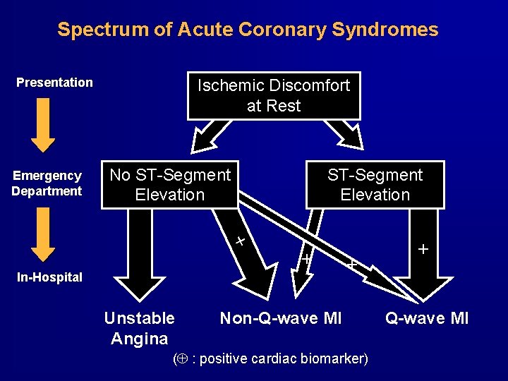 Spectrum of Acute Coronary Syndromes Presentation No ST-Segment Elevation + + In-Hospital Unstable Angina Spectrum of Acute Coronary Syndromes Presentation No ST-Segment Elevation + + In-Hospital Unstable Angina