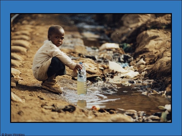 © Brain Wrinkles © Brain Wrinkles